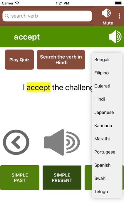 Verbs & Tenses screenshot-3