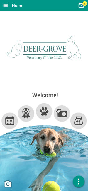 Deer Grove Vet Clinic(圖1)-速報App