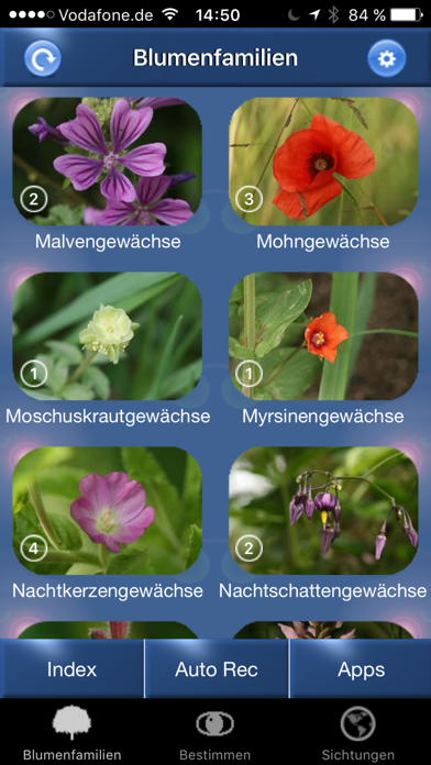 How to cancel & delete Blumen Id Automatik heimische Wildblumen bestimmen from iphone & ipad 1