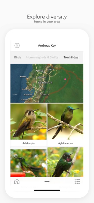 Birds by Fieldguide(圖3)-速報App