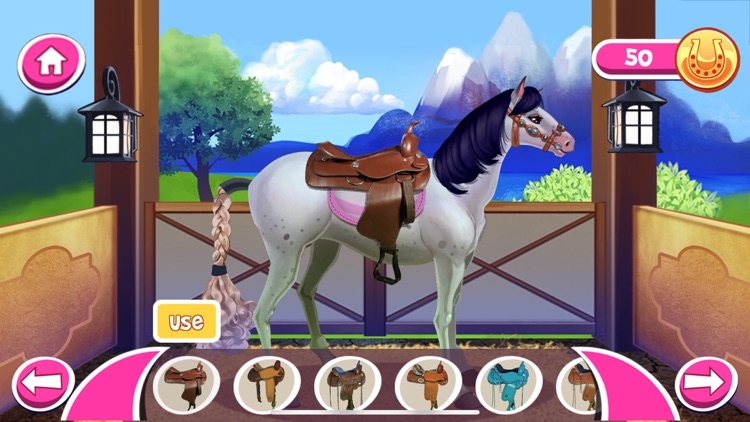 My Magic Horse Care Academy