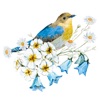Vintage Birds & Floral Sticker