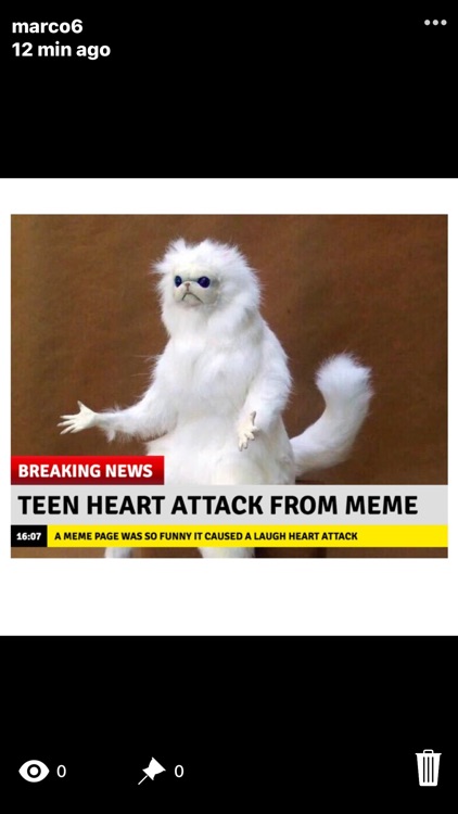 Shoutout - Public Stories