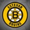 Estevan Bruins Official App
