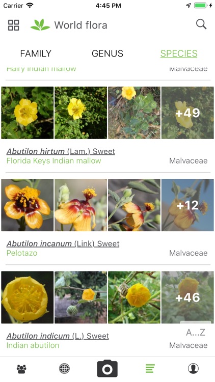 PlantNet screenshot-3