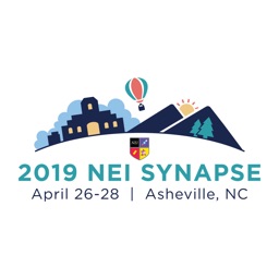 2019 NEI Synapse