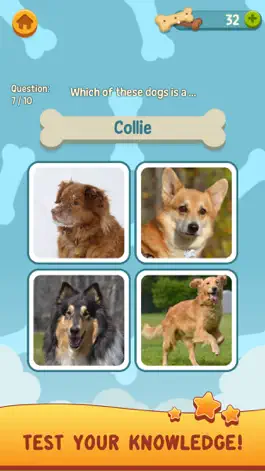 Game screenshot Canine Craze hack