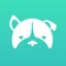 Dogiz is your community of certified professional dog walkers and pet services