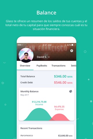 Glass - Money Management screenshot 2