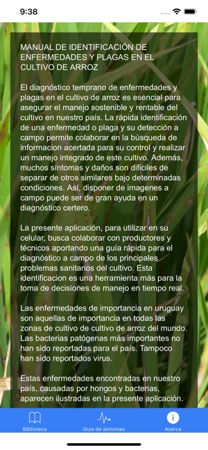 Enfermedades y plagas de arroz(圖3)-速報App