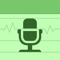 Audio Memos SE ne fonctionne pas? problème ou bug?