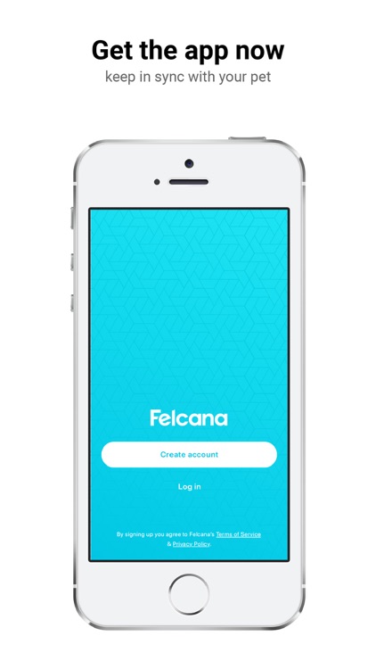 Felcana screenshot-6