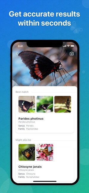 Picture Insect - Insect ID Pro(圖2)-速報App