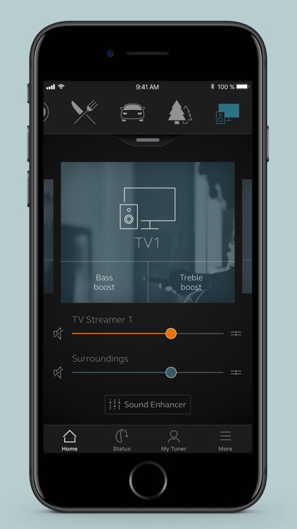 GN Hearing Tuner screenshot-3