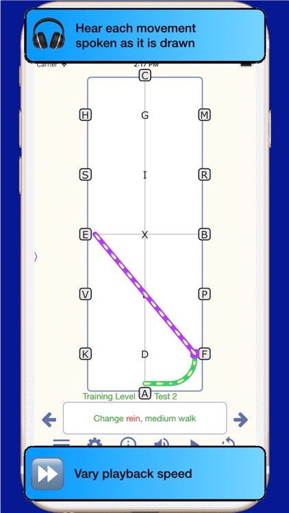 TestPro US Dressage Federation screenshot-6