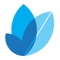This App and all of its content are the copyright of Proveca Limited