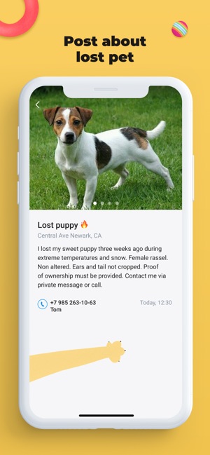 Lost Pet — find my lost pet(圖3)-速報App