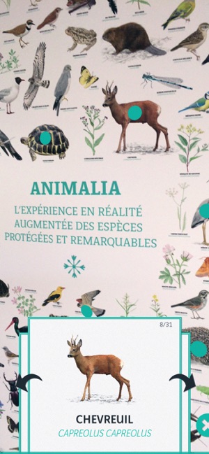 ANIMALIA by VINCI Autoroutes(圖3)-速報App