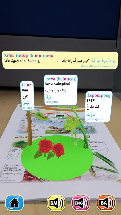 Kamus Bergambar Pelangi AR