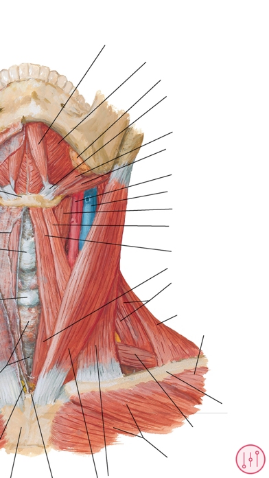 How to cancel & delete Anatomy Atlas, USMLE, Clinical from iphone & ipad 3