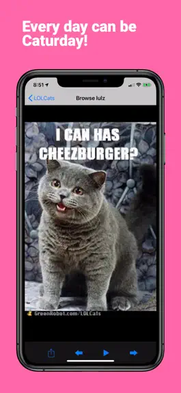 Game screenshot LOLCats - Funny Cat Pics apk