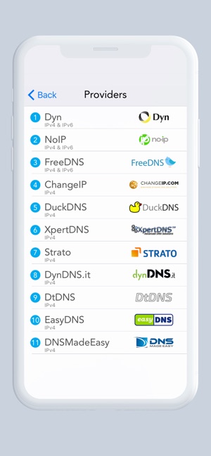 RealDNS - Dynamic DNS(圖2)-速報App