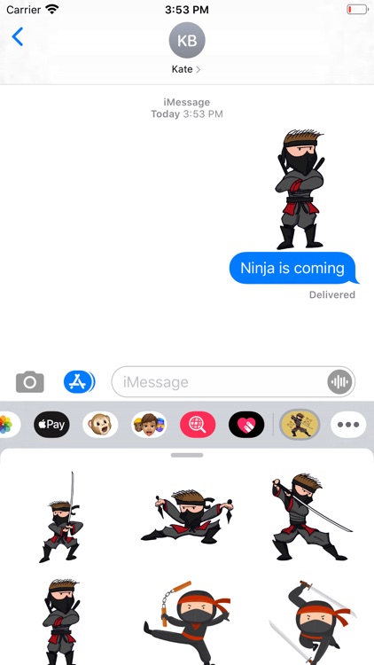 Ninja Samurai Stickers