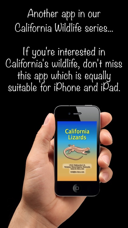 California Lizards screenshot-0