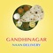 Gandhinagar Naan Delivery app is used for varieties of Naan