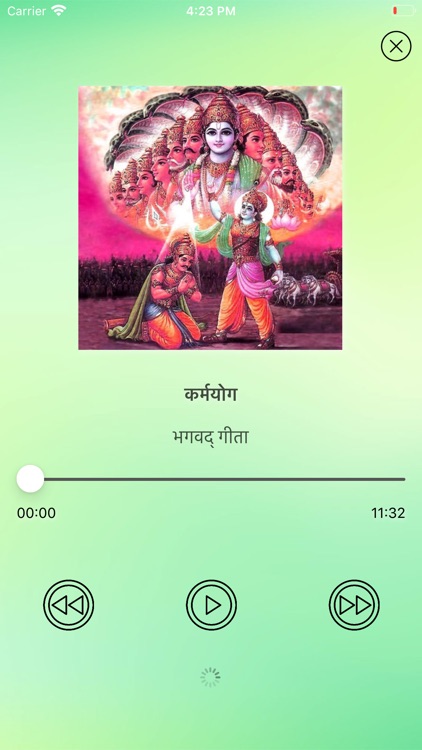 Bhagavad Gita Hindi. screenshot-4