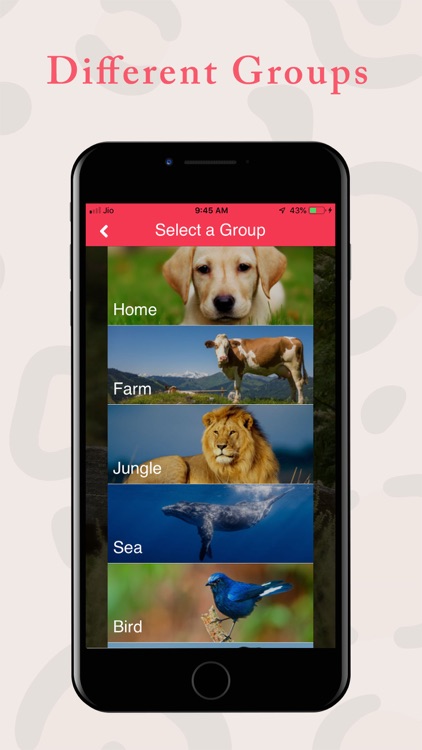 Animal Sounds for Kids.!