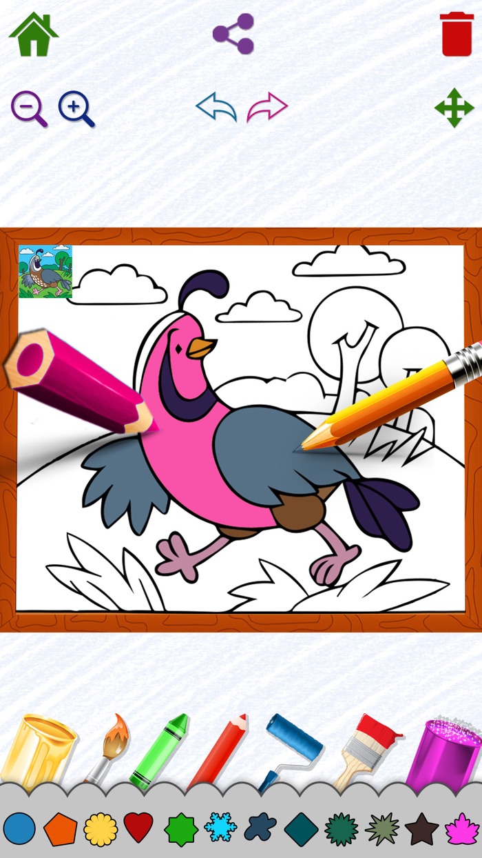 Basic Coloring Draw Fun