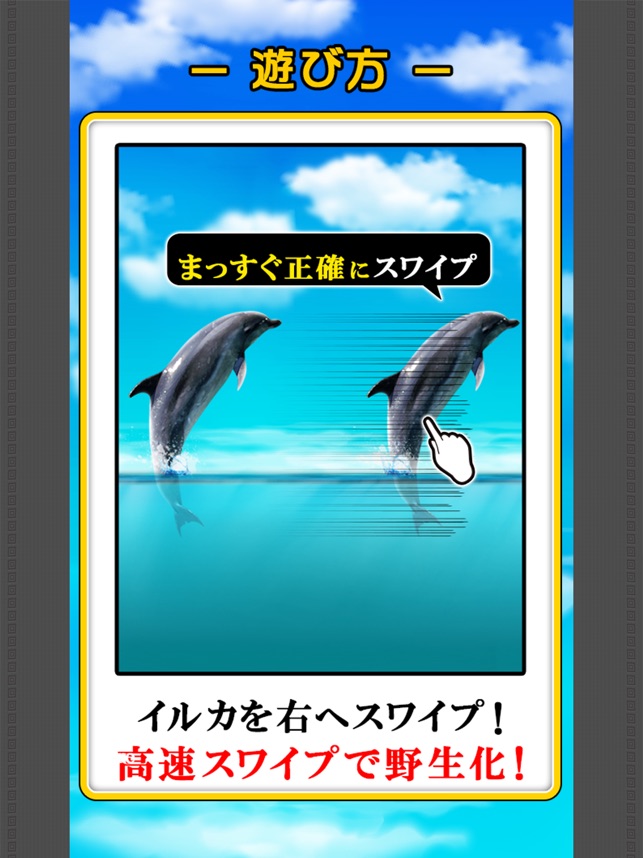 Can Dolphin Stand On The App Store