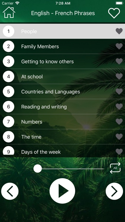 French Vocabulary & Phrase screenshot-7