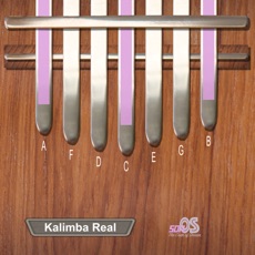 Activities of Kalimba Real