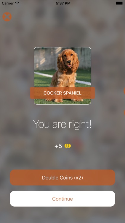 Dogs Breed Quiz screenshot-3