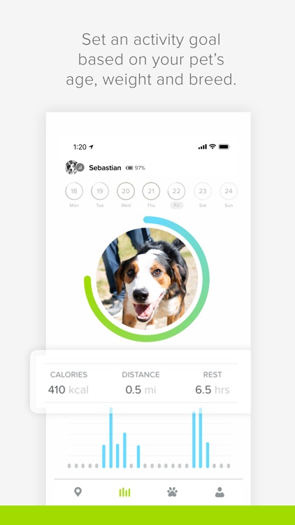 Whistle - Pet Tracker
