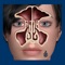 The Sinus ID app helps students and patients learn and professionals teach sinus anatomy