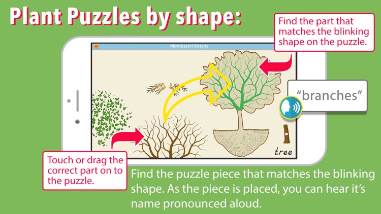 Learn Botany - Parts of Plants