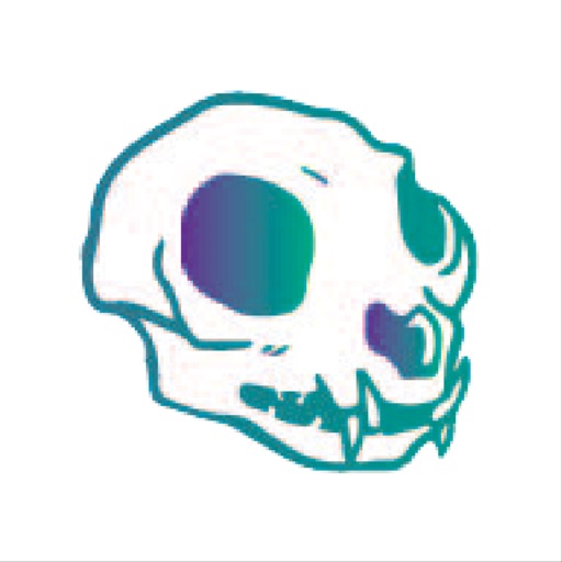 VTG Full - Flow Arts Resource