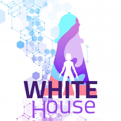 White House - CSS Color Game