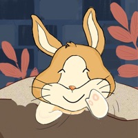 Funny rabbit