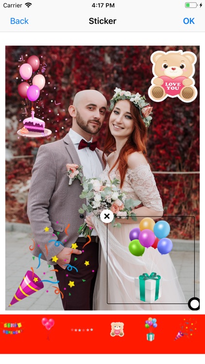 Wedding Photo Maker - Editor