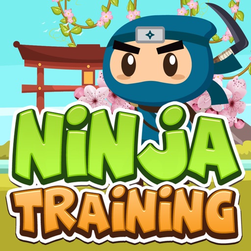 Ninja-Training