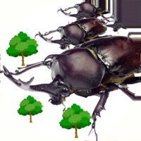 Attack On Beetle pour PC