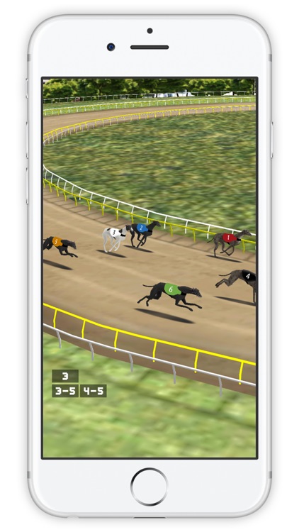 Simple Greyhound Racing screenshot-3