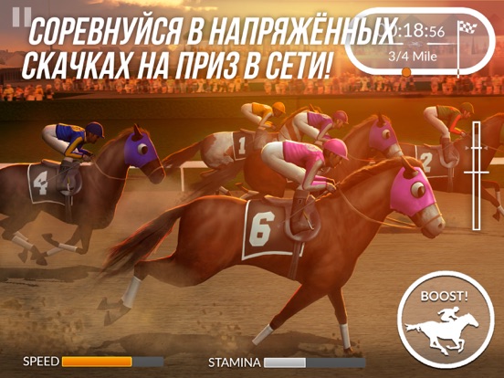 Photo Finish Horse Racing для iPad