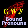 Cherokee Bound Pronouns