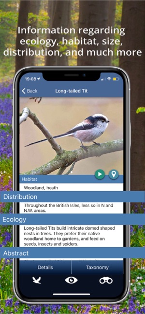 Bird Id - British Isles birds(圖6)-速報App