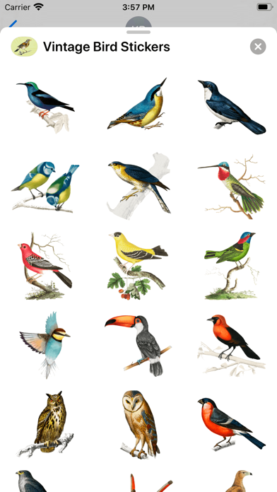 Vintage Bird Stickers screenshot 3